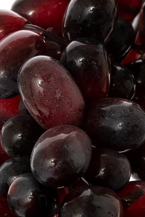 12" Grape W/leaf Burgundy/red