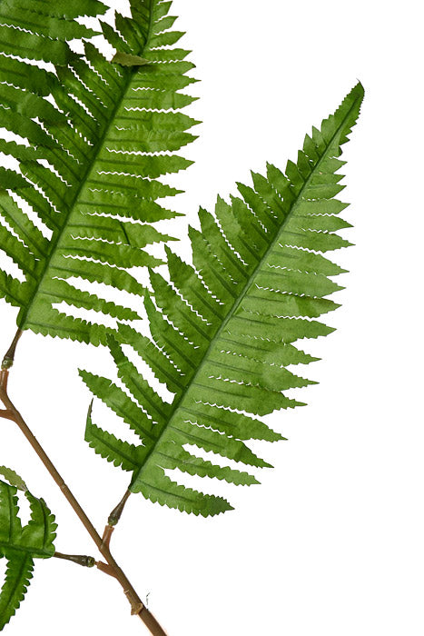 51" New York Fern Leaf Spray Green