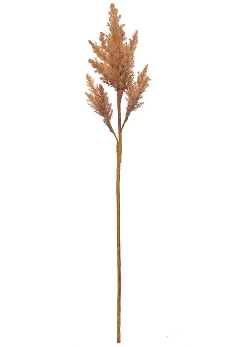 31.5" Pampas Grass Spray Brown