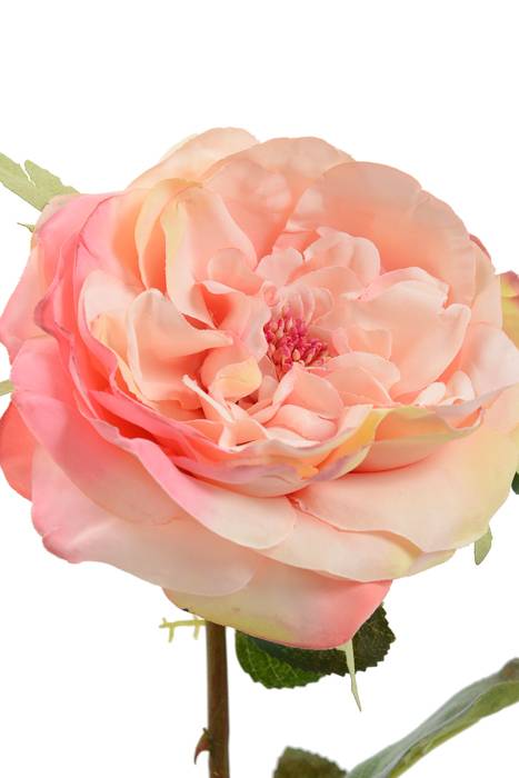 22" English Rose Spray Peach/cream