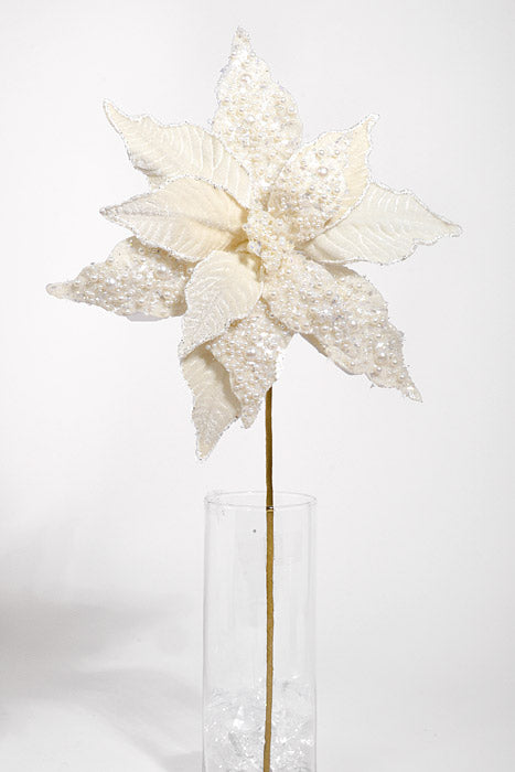22" Velvet with Pearl Poinsettia Ivory