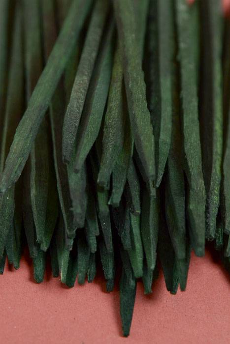 4" Unwired Wood Pick Green Pkg/1000