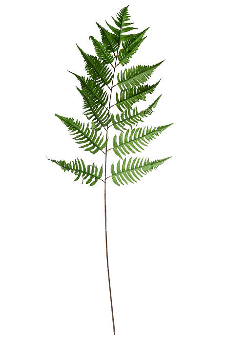 60" New York Fern Leaf Spray Green