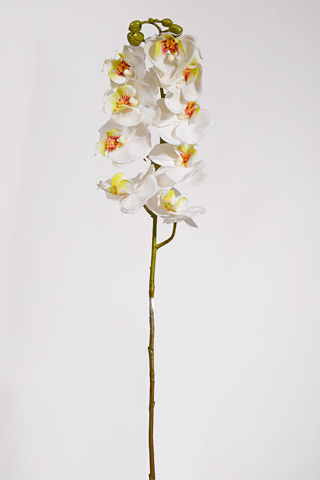 29" Real Touch Phalaenopsis Spray White