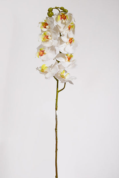 29" Real Touch Phalaenopsis Spray White