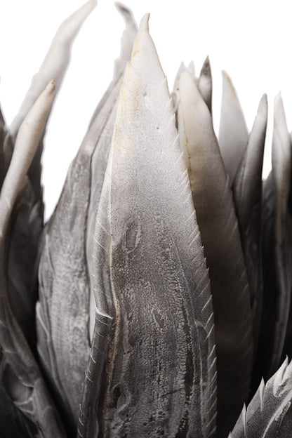 38" Foam Agave Stem Gray/White