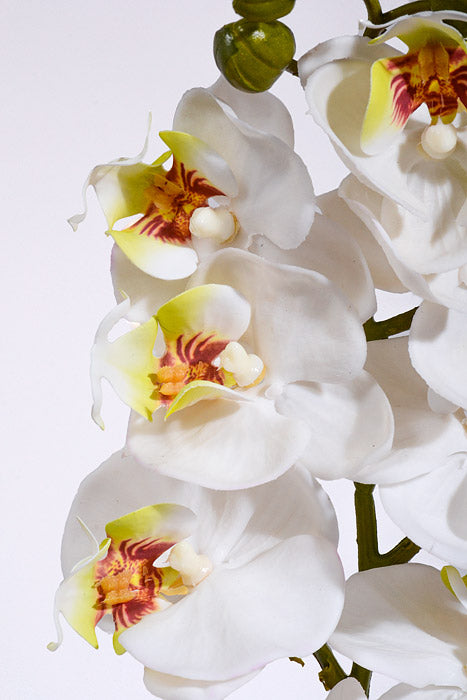 29" Real Touch Phalaenopsis Spray White