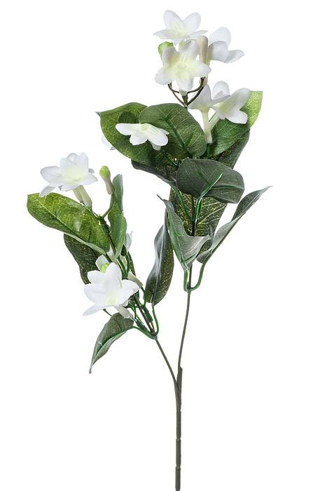 22" Stephanotis Spray White