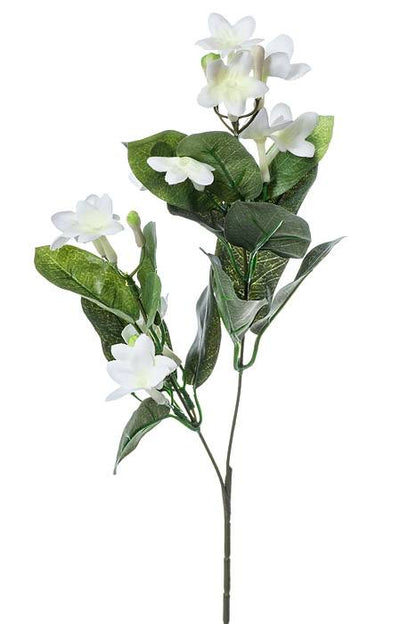 22" Stephanotis Spray White