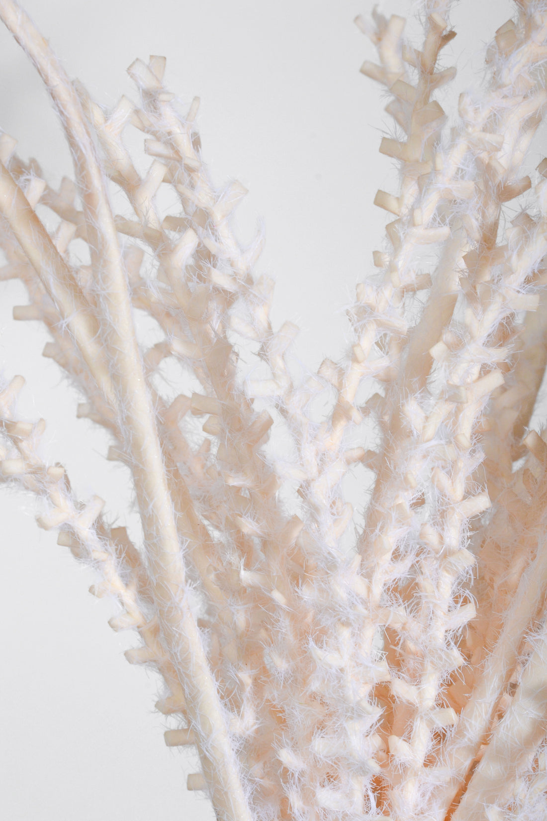 35" Pampas Stem Beige