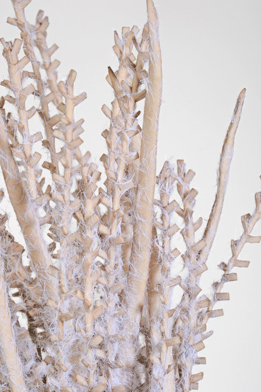 35" Pampas Stem Grey