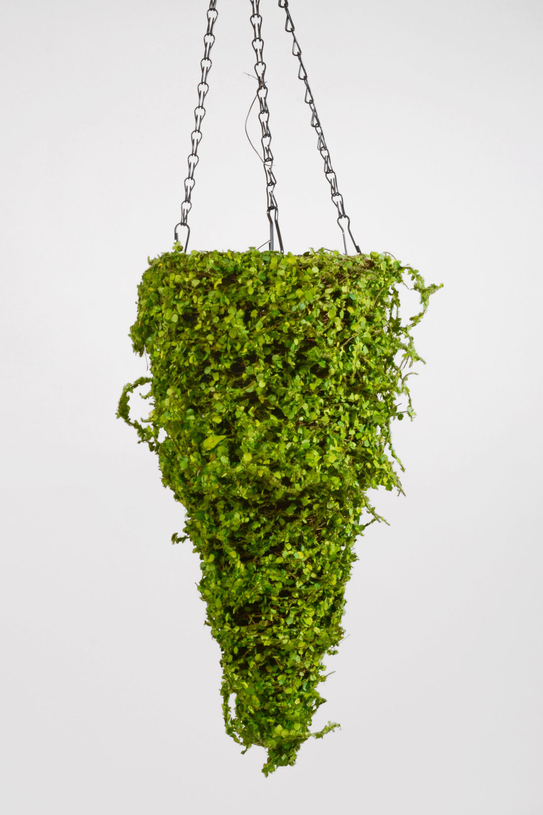 17" Cone Tree Moss Green