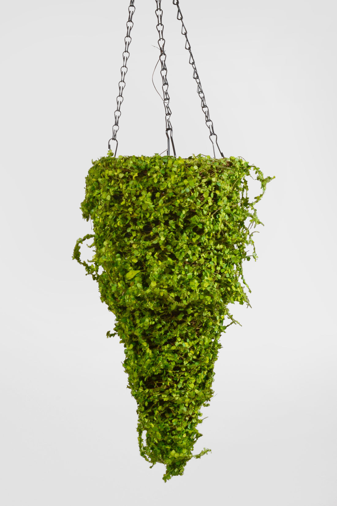 17" Cone Tree Moss Green