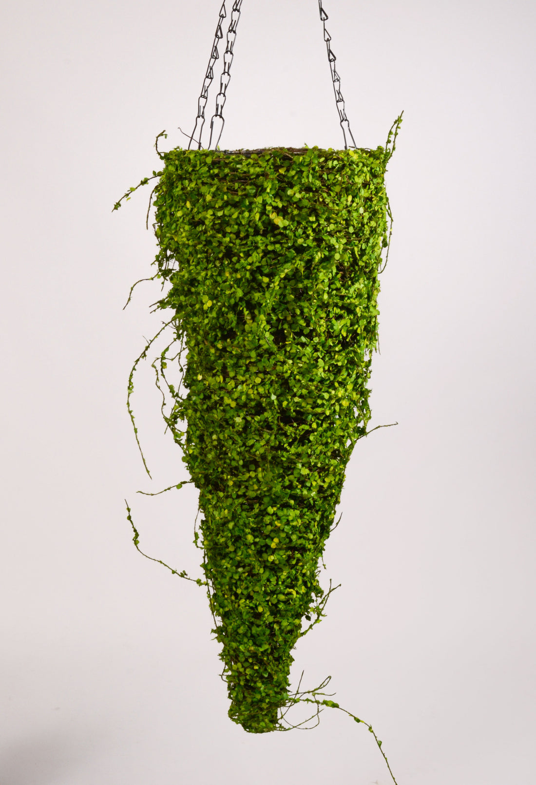 24" Cone Tree Moss Green