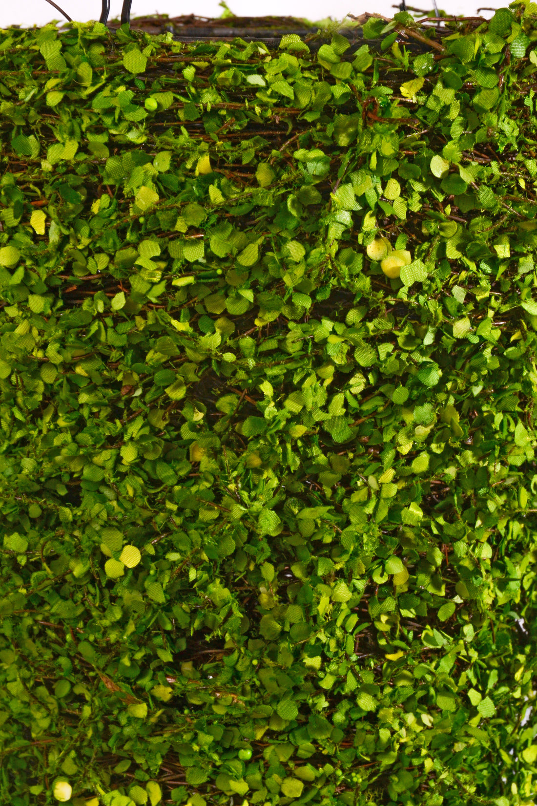 24" Cone Tree Moss Green