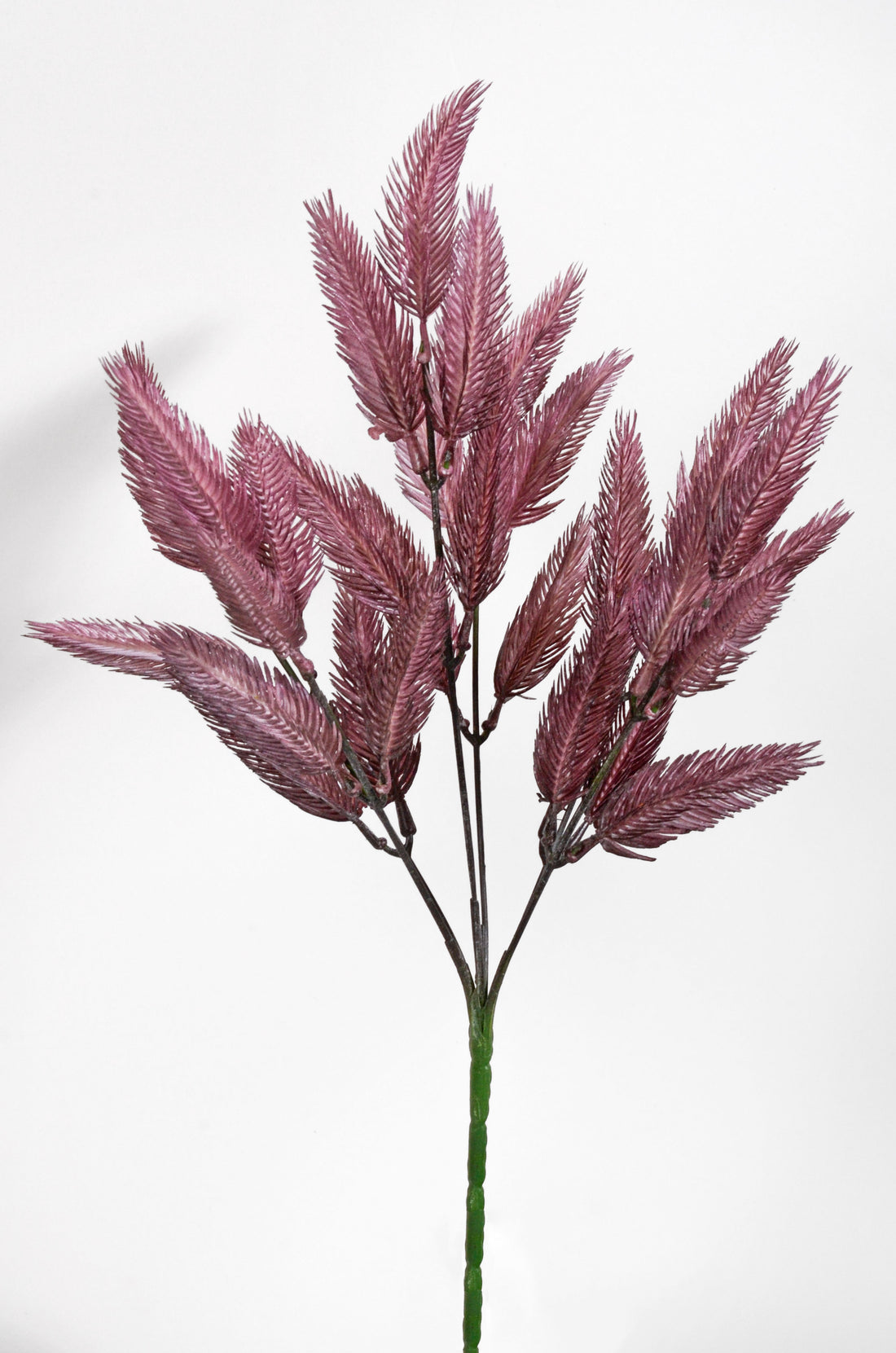 13.5" Foxtail Grass Bush Plum