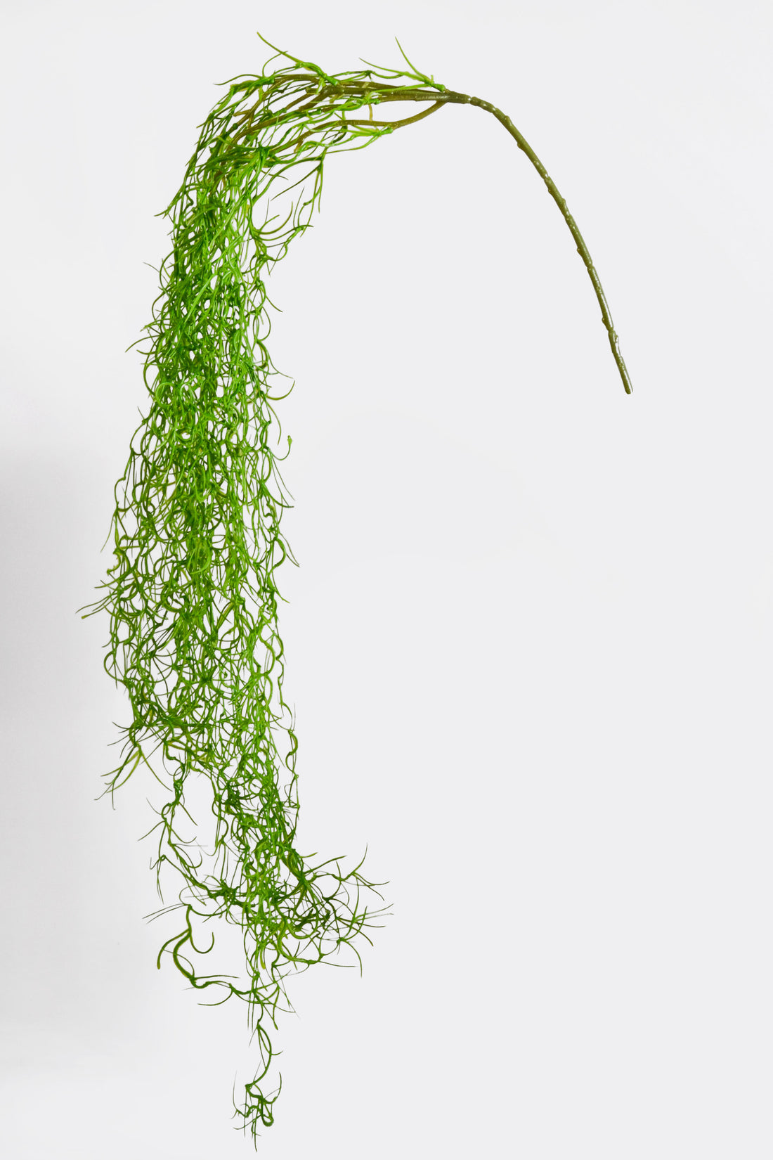 51" Moss Hanging Bush Green