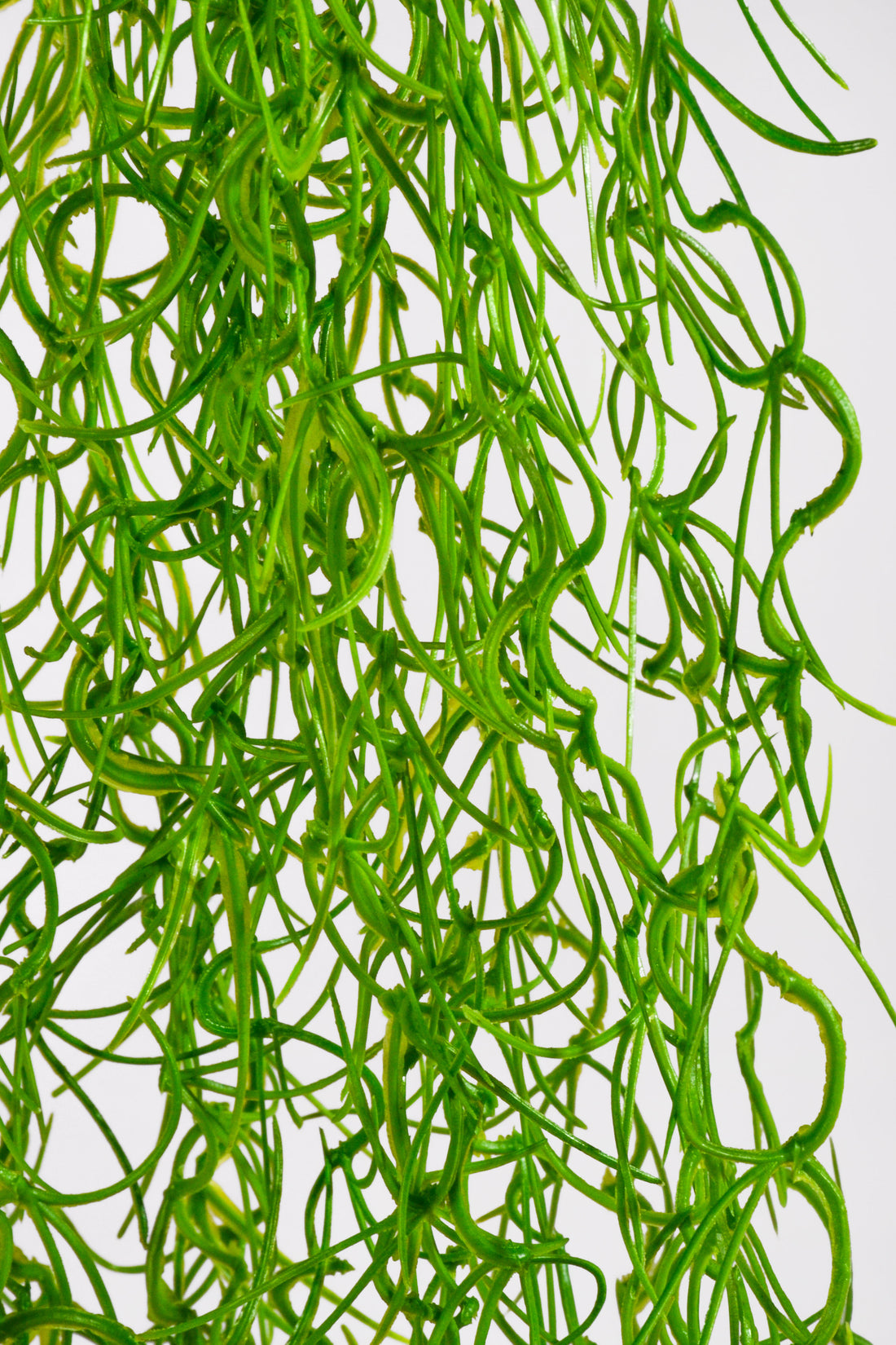 51" Moss Hanging Bush Green