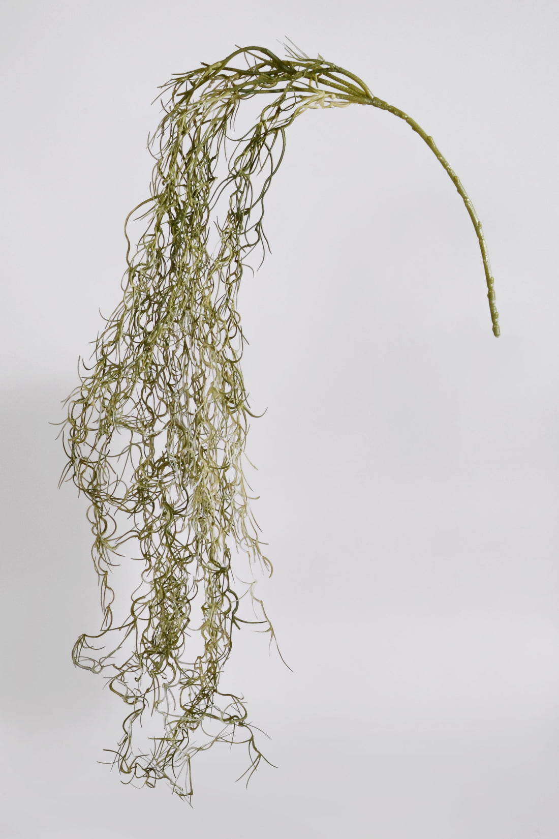 46" Moss Hanging Bush Moss Green