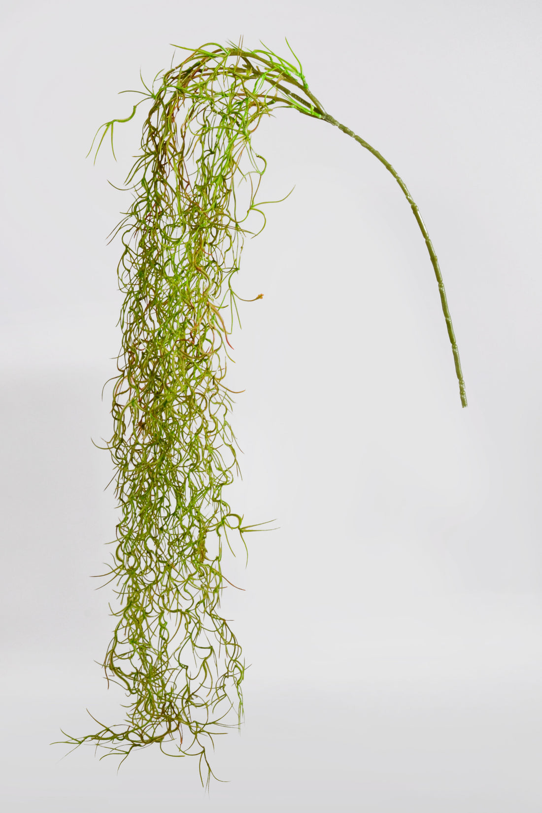 48" Moss Hanging Bush Natural