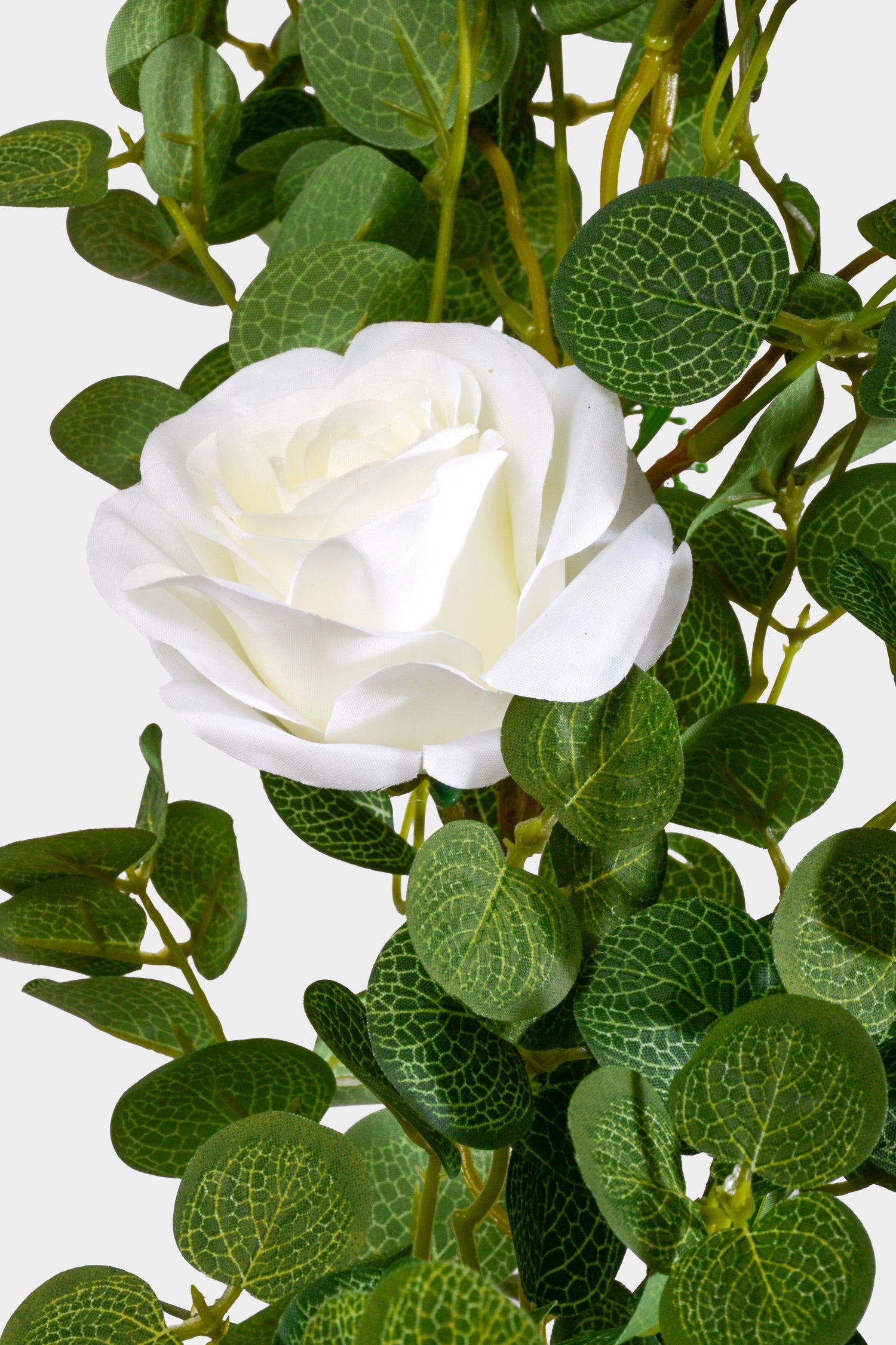 80" Eucalyptus/Rose Garland Cream