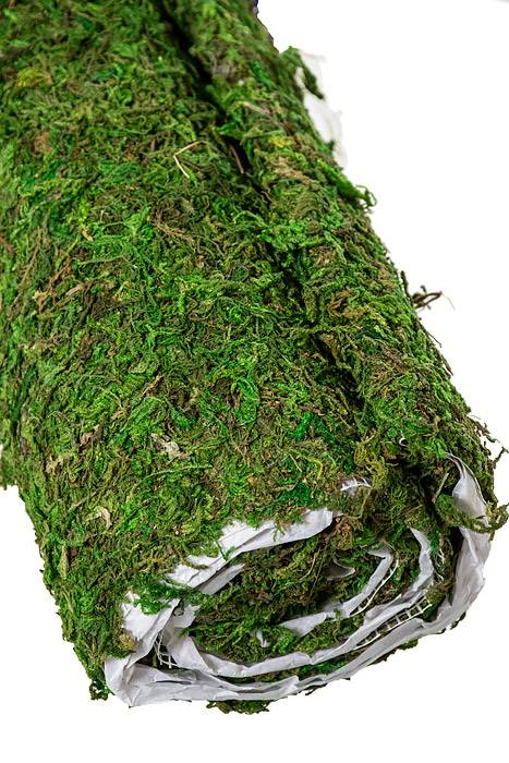 18" X 4ft Moss Mat Natural