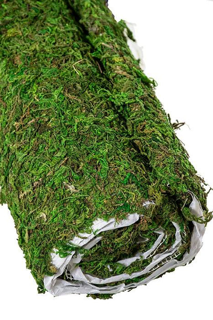 18" X 4ft Moss Mat Natural