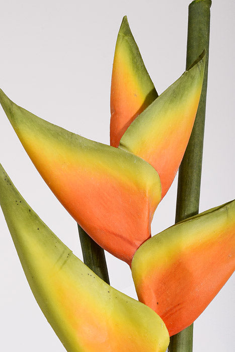 34&quot; Artificial Hawaiian Heliconia Spray Orange
