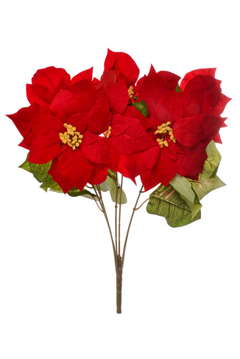23" Velvet Poinsettia Bush Red