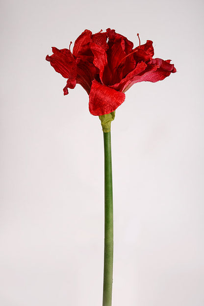25.5" Silk Amaryllis Red