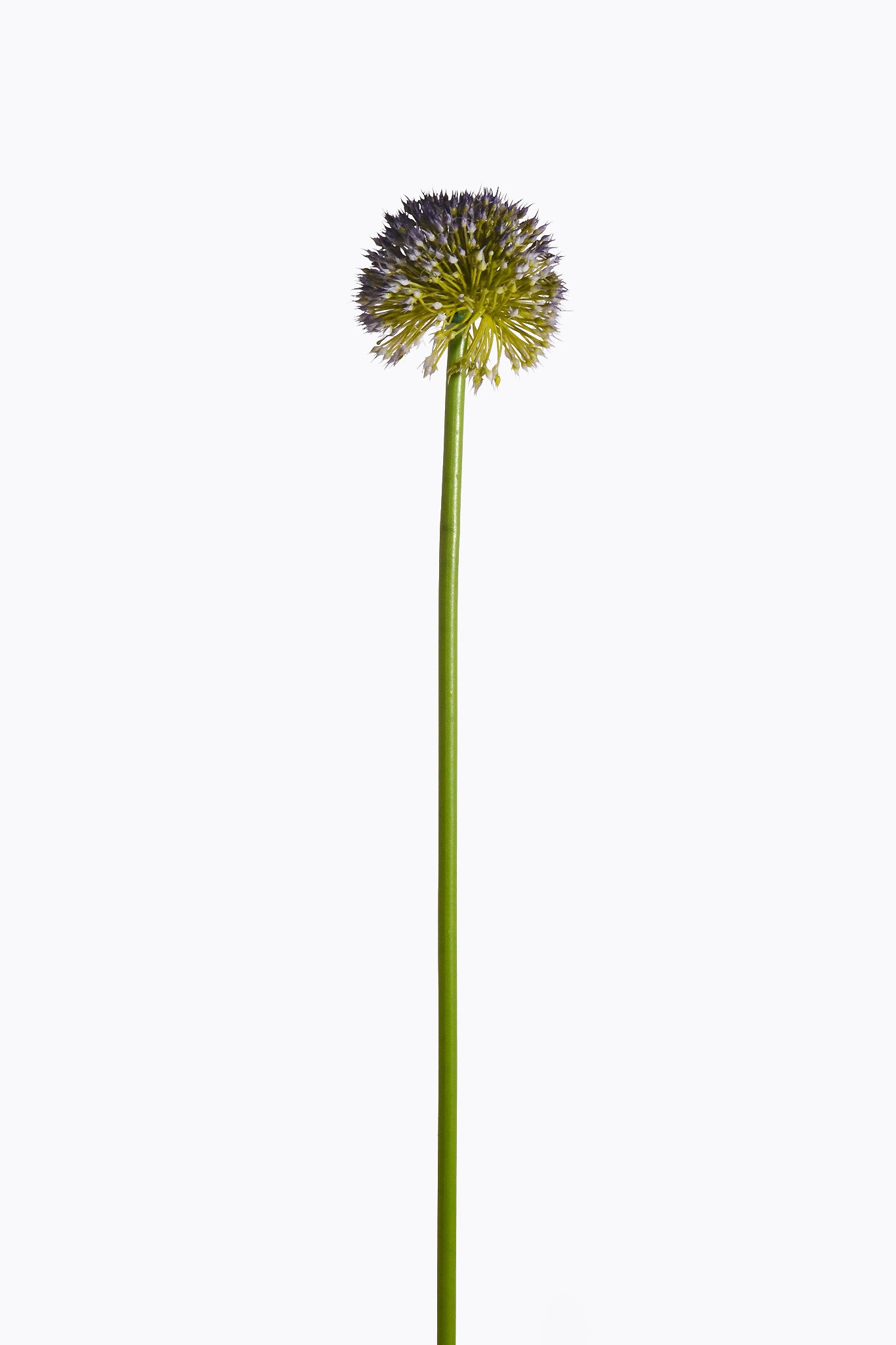 25.5" Artificial Alliums Spray Lavender