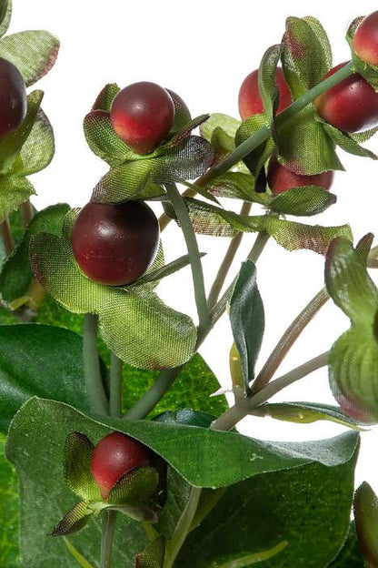 27" Hyper Berry Spray Two Tone Burgundy