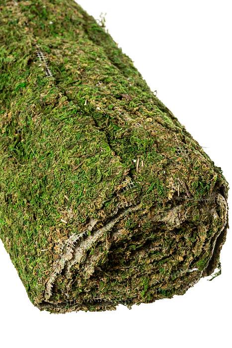 18" X 12ft Moss Mat Natural