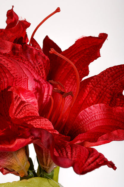 25.5" Silk Amaryllis Red