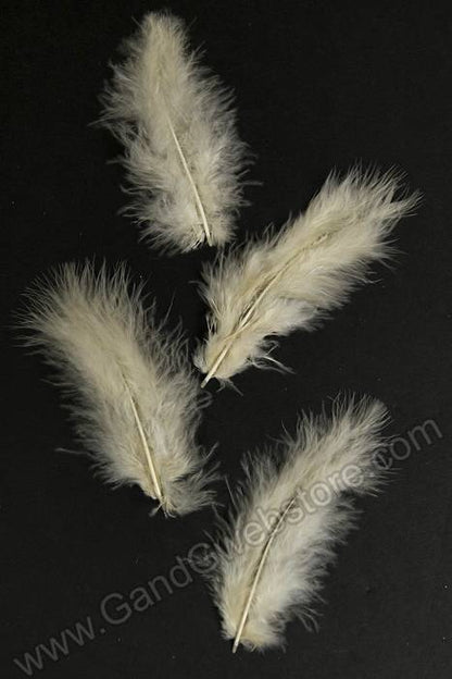 5" - 7" Ostrich Feather Ivory Pkg/50
