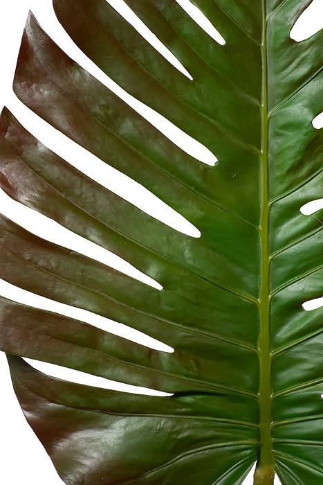 55" Monstera Leaf Spray Green / Brown
