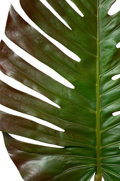 55" Monstera Leaf Spray Green / Brown