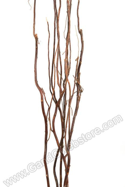 5-6 Ft Natural Curly Willow Brown Pkg/5