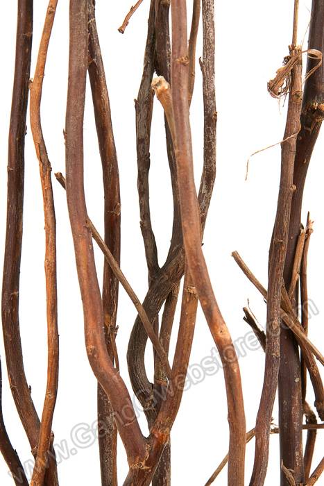 5-6 Ft Natural Curly Willow Brown Pkg/5