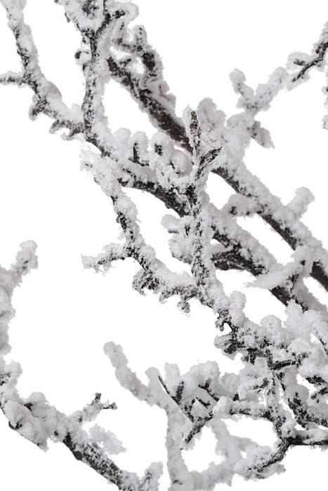 63" Snowed Twig Spray Brown/snow