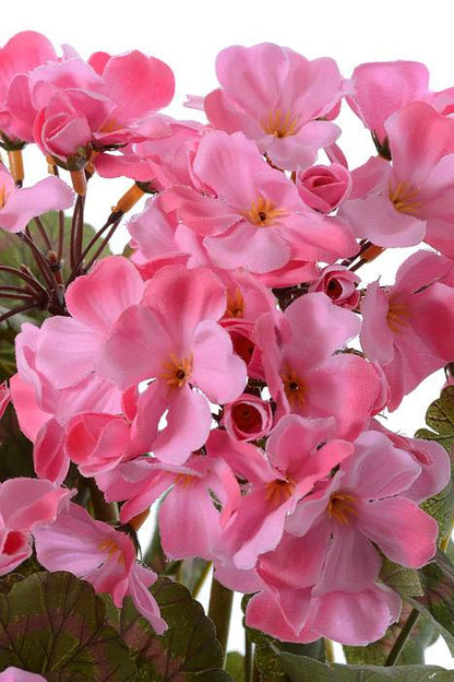 19" Silk Geranium Bush Pink