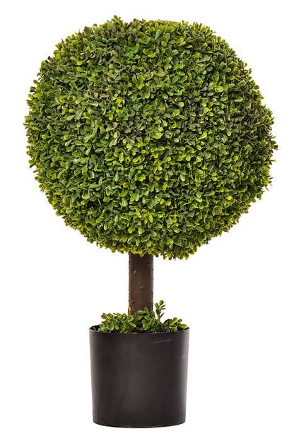 25" Boxwood Ball Topiary In Pot Green