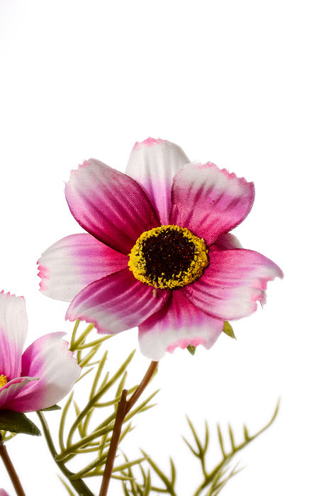 28" Silk Cosmos Spray Pink/White