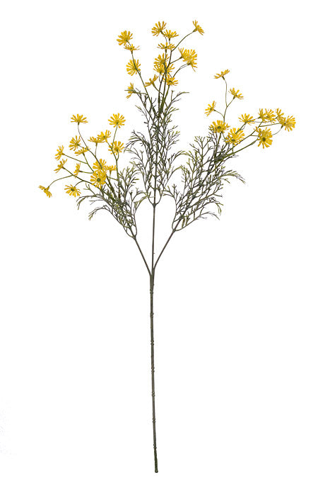 26.5" Artificial Marguerite Daisy Spray Yellow
