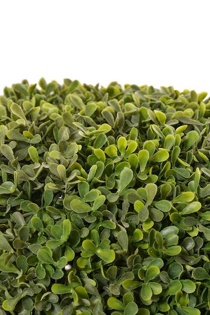 25" Boxwood Ball Topiary In Pot Green