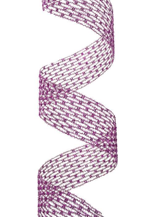 2.5" X 10yds Mesh Net Diamond Ribbon Purple