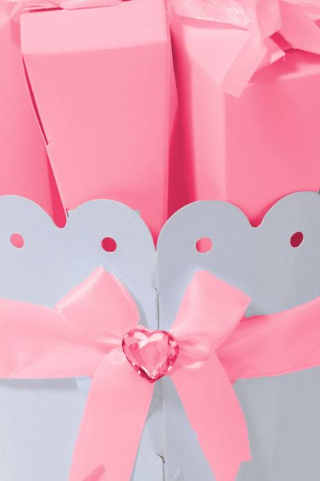 Cones X10 W/ribbon In Round Stand W/crystal Pink 5/sets