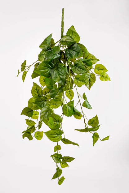 32" Philo Hanging Bush Green