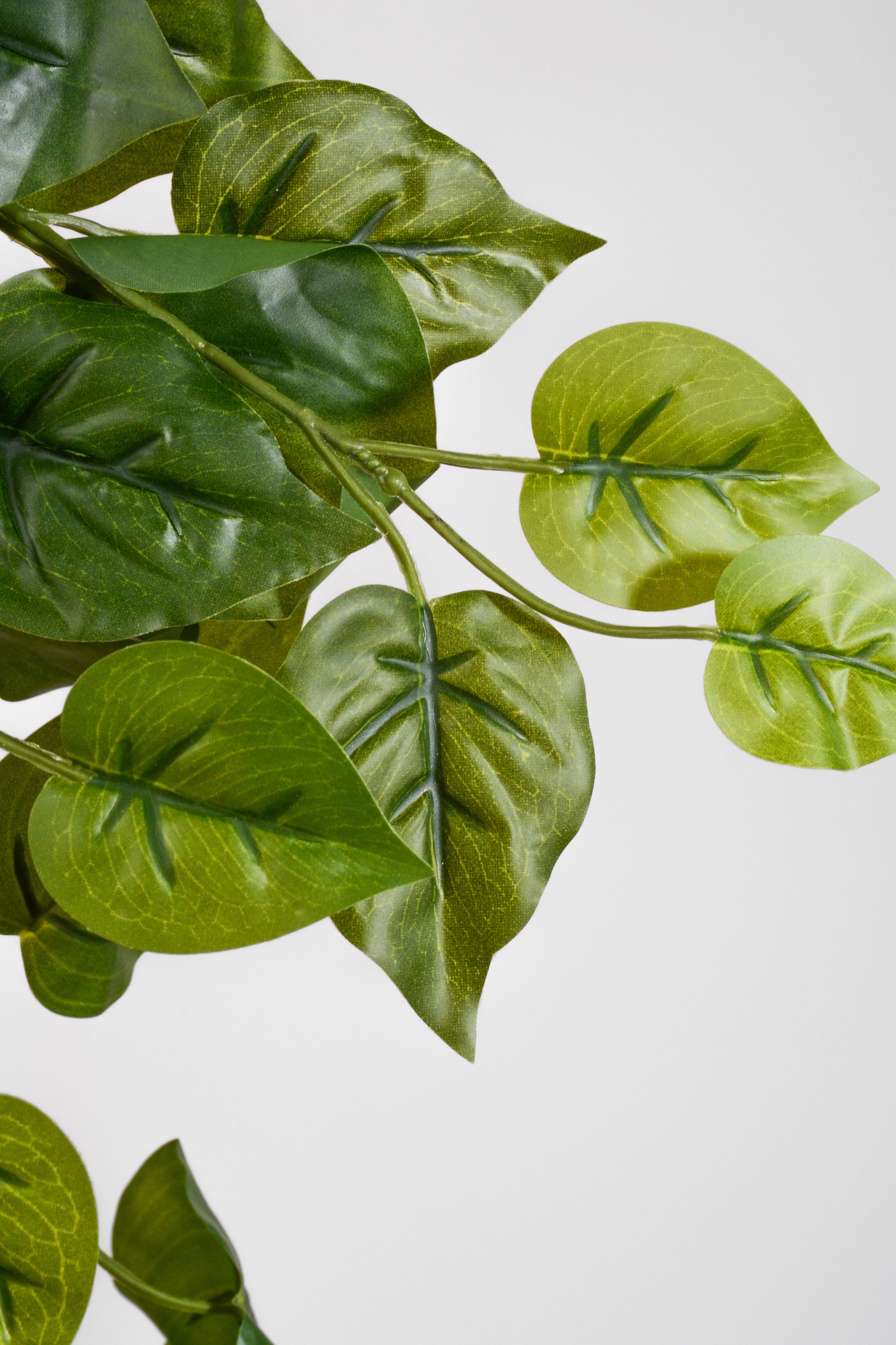 32" Philo Hanging Bush Green