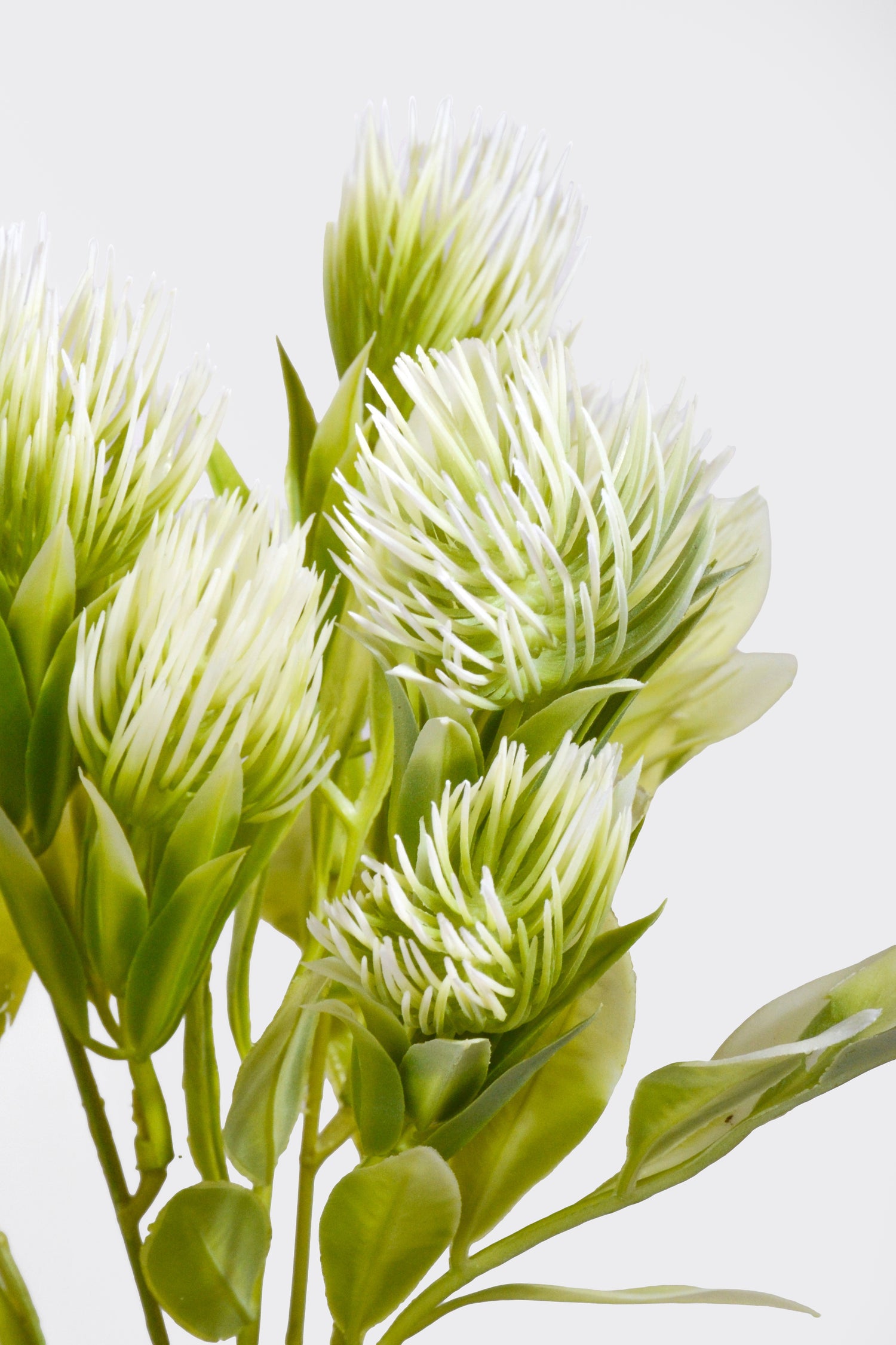 13.75" Artificial Thistle Bush White